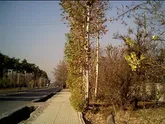 دهکده آرامش پذیرای مسافران شیراز