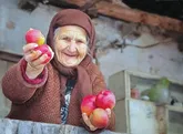 واژه‌هایی که فقط مادربزرگم بلد بود!