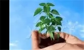 برگزاری نمایشگاه محیط زیست در آستارا