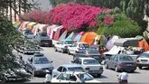 استقبال از مسافران نوروزی با اپلیکیشن معرفی جاذبه‌های استان سمنان