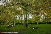 نخستین پارک هوشمند در کلانشهر اراک ایجاد می‌شود