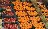 1100 تن میوه شب عید کردستان خریداری شده است
