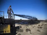 بیابان زدایی از 800 هکتار کانون فرسایشی جاسک پیشرفت 80 درصدی دارد