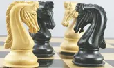 دام اینشتلونگ در تصمیم‌گیری