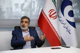 کمالوندی: نیروگاه بوشهر ۹۰ میلیون بشکه نفت صرفه جویی کرده است