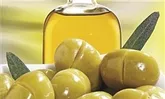 روغن زیتون با استانداردهای جهانی تولید شود