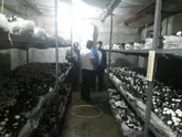 اعطای ۹۱۹ میلیون‌تومان تسهیلات اقتصاد مقاومتی در اسلامشهر