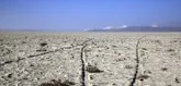 ۱۰ میلیون دلار کمک خارجی برای حفاظت از اکوسیستم بختگان