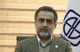 لزوم تدوین برنامه جامع آموزش خانواده در بحث فرزندپروری