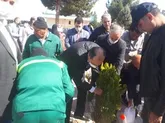 برگزاری آیین رویش لاله ها در روز درختکاری