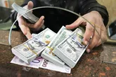 صادراتی که ارز آن برنگردد دزدی است