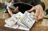 صندوق‌های ارزی به رقابت با دلار‌های خانگی می‌آیند
