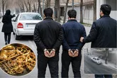 شکارچیان زنان به دام پلیس تهران افتادند