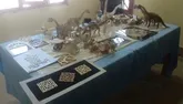 برگزاری دوره آموزشی صنایع‌دستی ویژه زندانیان