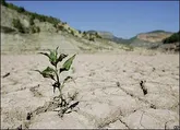 مهاجرت آخرین گزینه است