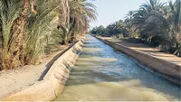 حقابه مارون، نفس تازه نخلستان‌های خوزستان