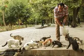 تضاد دوگانه در کف خیابان