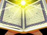 برگزاری نمایشگاه