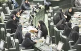 اصلاحات درباره حضور سیاسی زنان فقط شعار می‌دهد