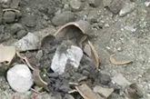 دستگیری حفاران غیرمجاز میراث فرهنگی در ایوانکی