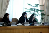سیاست مانع تصویب لایحه صیانت!