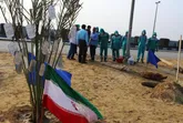 32  درخت نخل به یاد جان باختگان نفتکش سانچی در بندر رجایی غرس شد