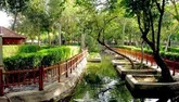 پارک جنگلی ناژوان صاحب «نارنجستان» می‌شود