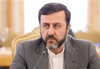 تشریح بند‌های بیانیه اجلاس سران بریکس توسط غریب آبادی