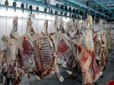 کاهش 21 درصدی قیمت گوشت در فیروزکوه