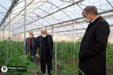 توسعه همکاری  جهاد کشاورزی با آستان قدس رضوی برای تقویت امنیت غذایی کشور