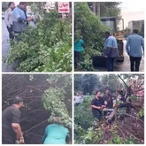 ایمن‌سازی محیط شهری احمدآباد مستوفی