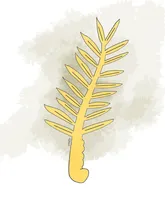 نخل کن