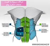 هیات بدن‌سازی و پرورش اندام فارس صاحب سالن ورزشی می‌شود