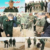 ۱۰۰هزار اصله نهال در هفته منابع طبیعی کاشت می‌شود