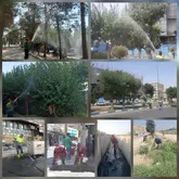 شهرداری نسیم‌شهر در خط مقدم مبارزه با پشه آئدس و حیوانات موذی