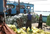 رونق تخلیه و بارگیری کالا در بنادر هرمزگان
