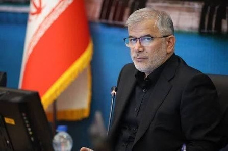 اسقرار خادمان البرزی در نجف اشرف برای خدمات دهی به زائران