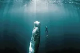 راز صدا‌های عجیب اعماق اقیانوس آرام