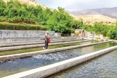 «ماهی‌ها» محرک موتور اشتغال لرستان