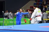 هدف کاراته‌کا‌ها درخشش در المپیک است