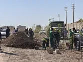 کاشته بیش از ۸۵۰ اصله درخت در مسیر حلقه دره کرج