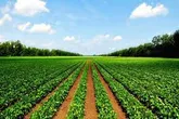 اجرای سیستم آبیاری نوین در لرستان و پرداخت تسهیلات بلاعوض به کشاورزان