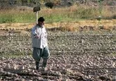 بیمه دوهزار و 683 خانوار روستایی و عشایری در خراسان شمالی