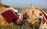 جشنواره کوچ عشایر فرصتی برای معرفی ظرفیت های عشایر استان اردبیل است