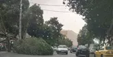 بارش باران و وزش باد شدید لحظه‌ای در تهران تا سه شنبه