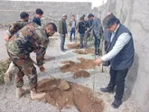 در پویش «سرو ایران» در استان‌ سمنان ۱۲ هزار اصله نهال توزیع و کاشته شد