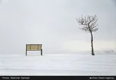 بارش برف در کردستان آغاز شد/ادامه بارش ها تا ۱۵ روز آینده