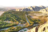 مرگ خاموش بزرگ‌ترین جنگل دست‌کاشت ایران