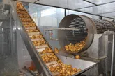 سرمایه‌گذاری ۱۹۸ میلیارد ریالی در صنایع تبدیلی خراسان شمالی