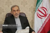 ولایتی: آقای روبیو! مشکل شما با انقلاب اسلامی نیست